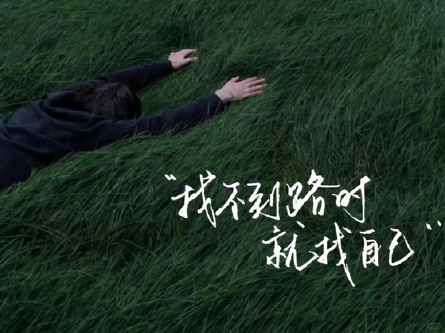 ipad文字壁纸来啦