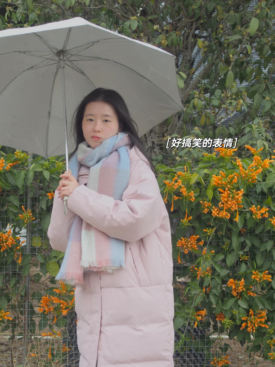 越来越喜欢不精致的照片