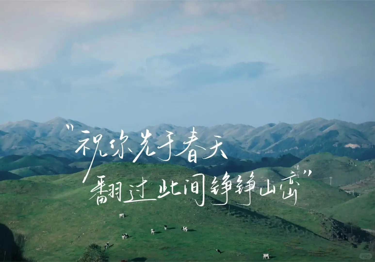 ipad文字壁纸来啦