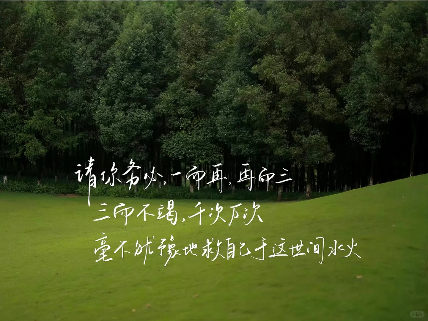 ipad壁纸｜祝你逃出苦难向春山