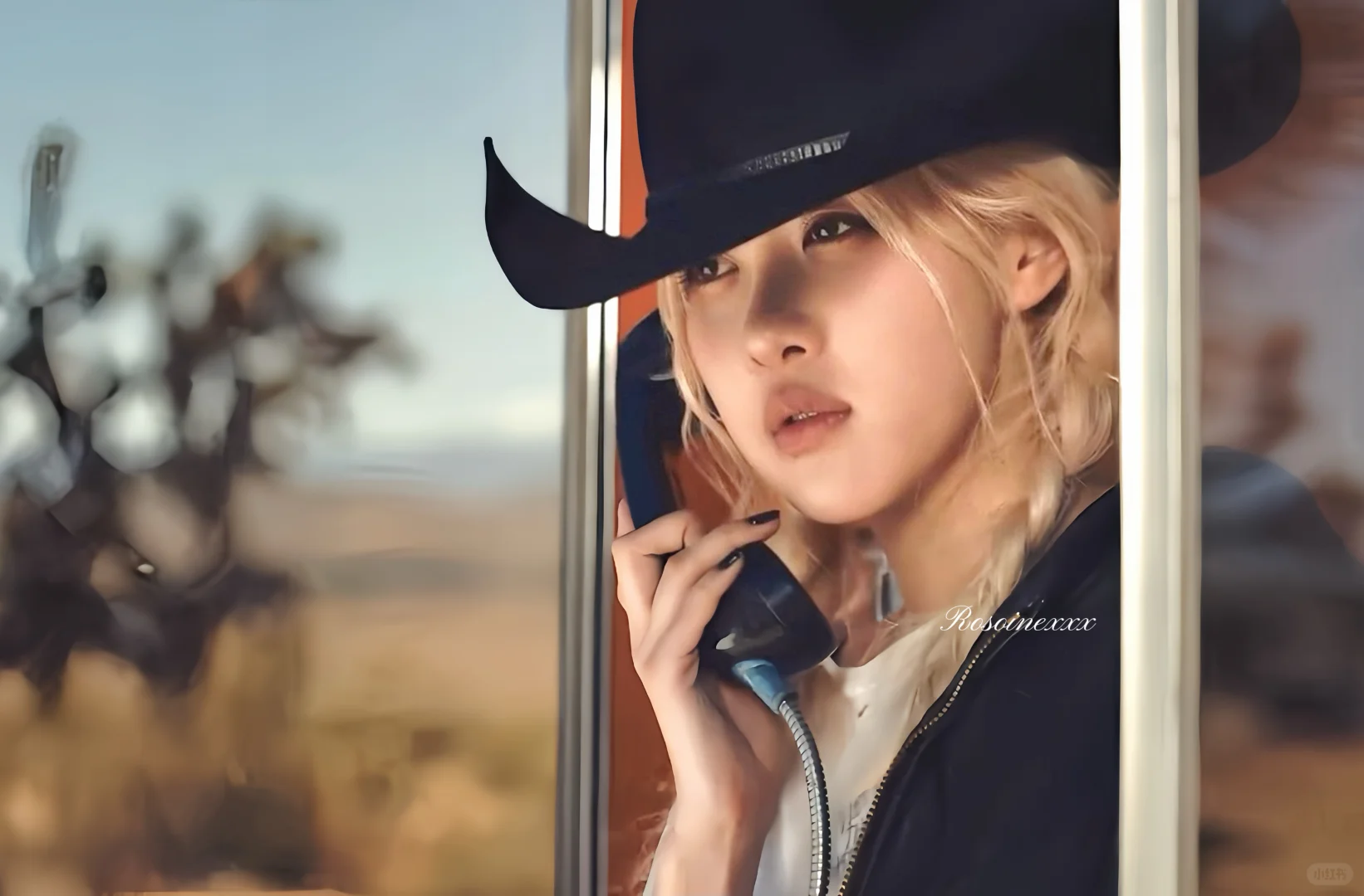Rosie朴彩英平板电脑壁纸🎶
