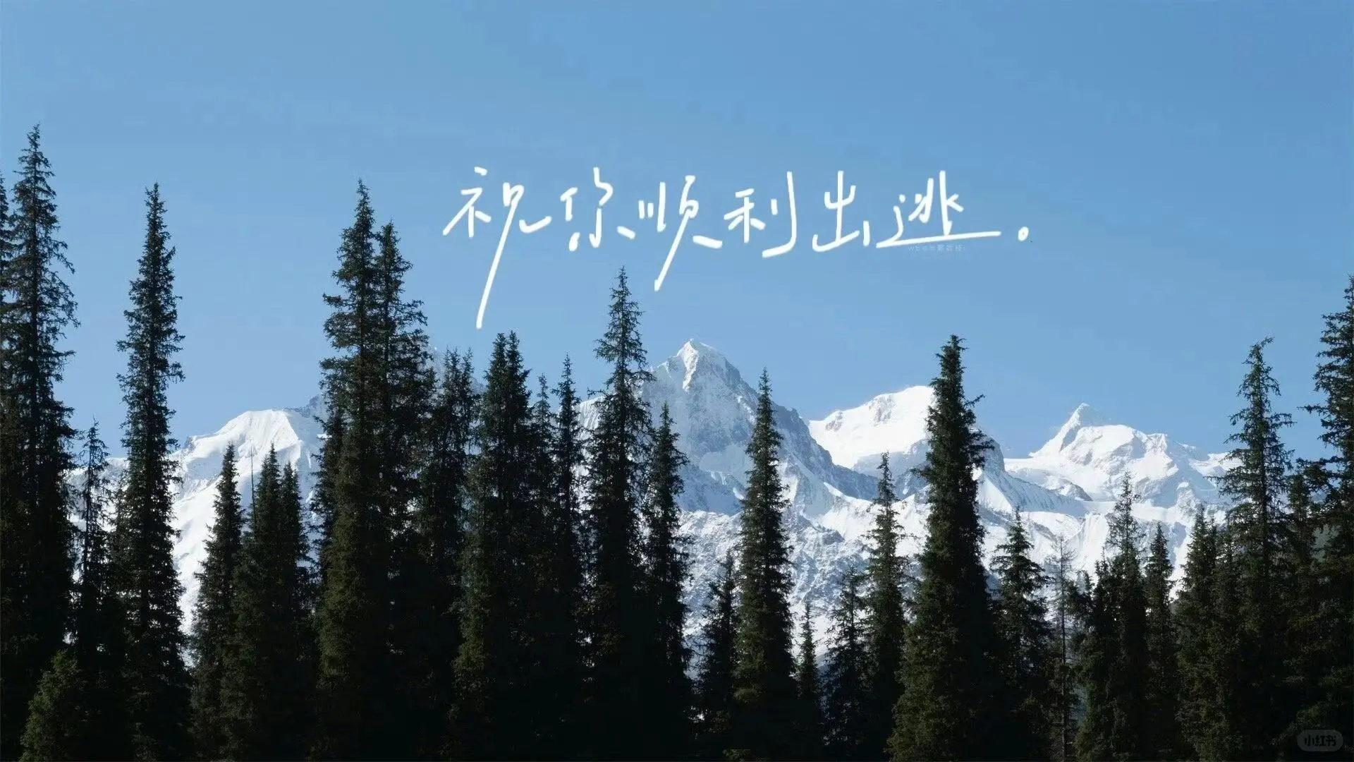 ipad文字壁纸来啦