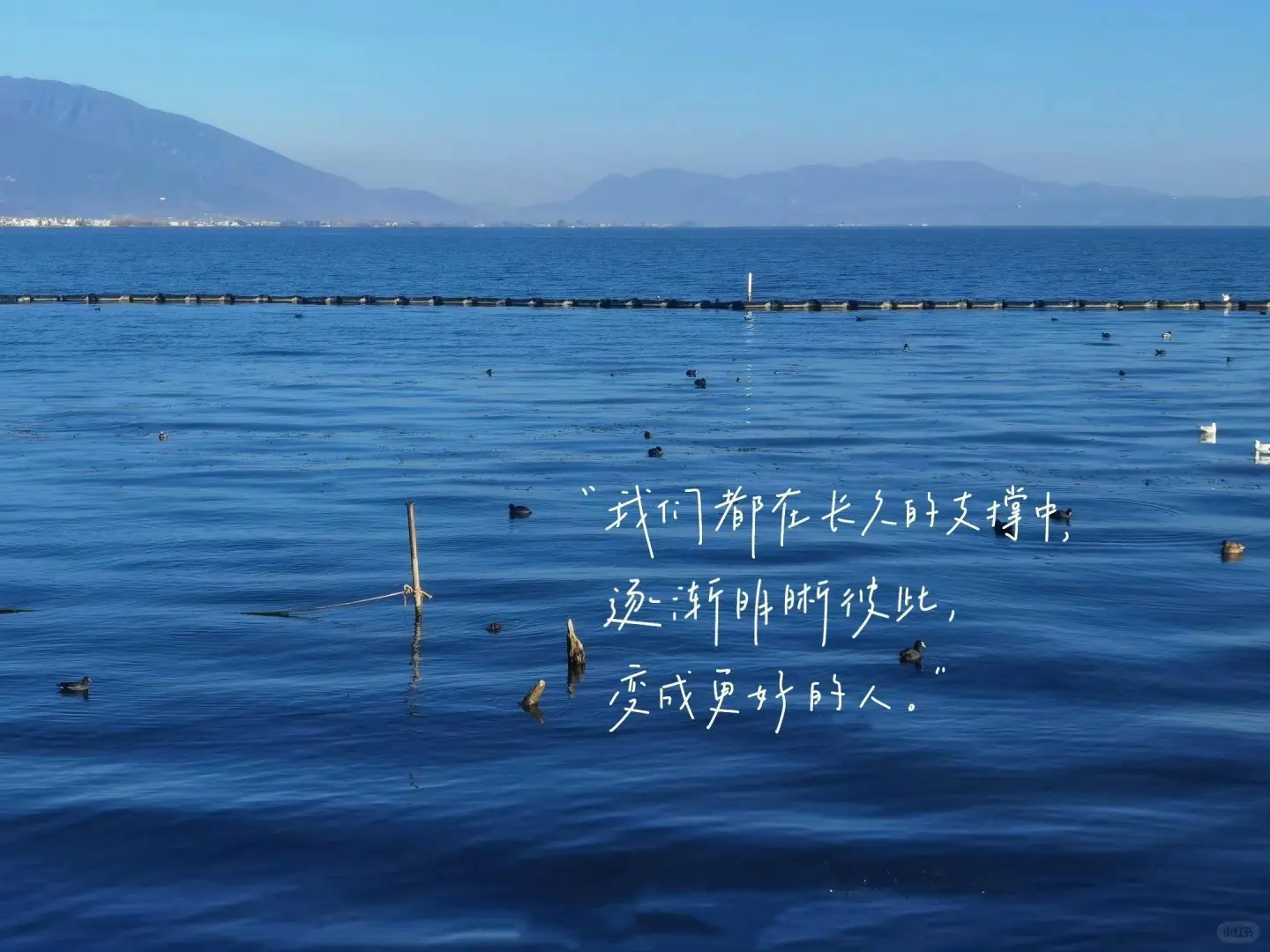 ipad文字壁纸来啦