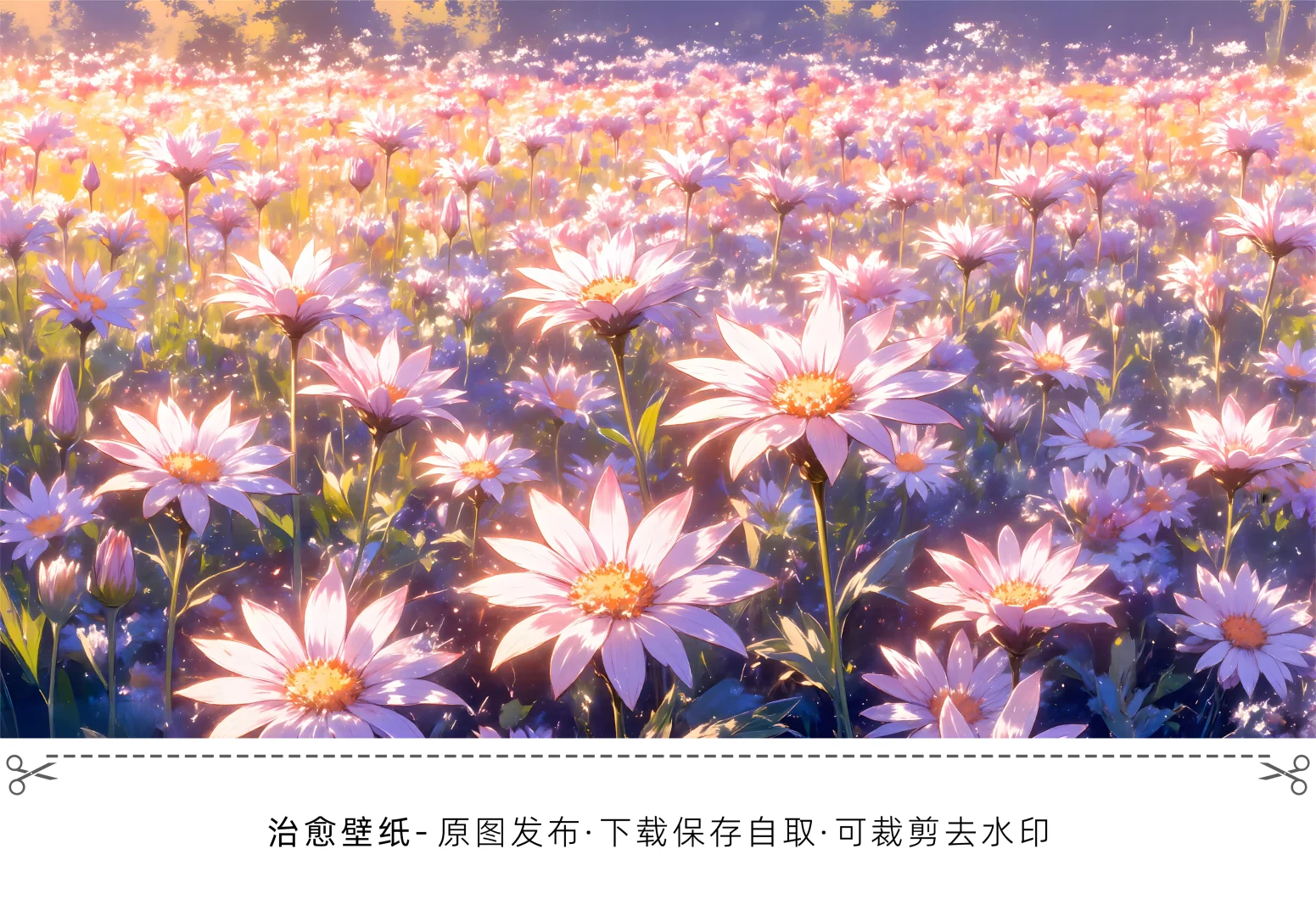 电脑壁纸 治愈篇-210【4K】右滑看更多壁纸