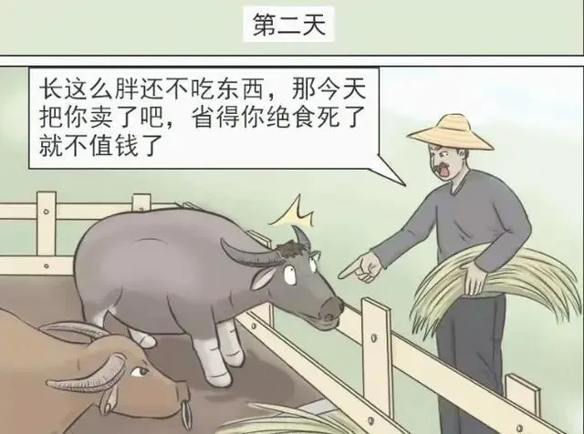搞笑图片