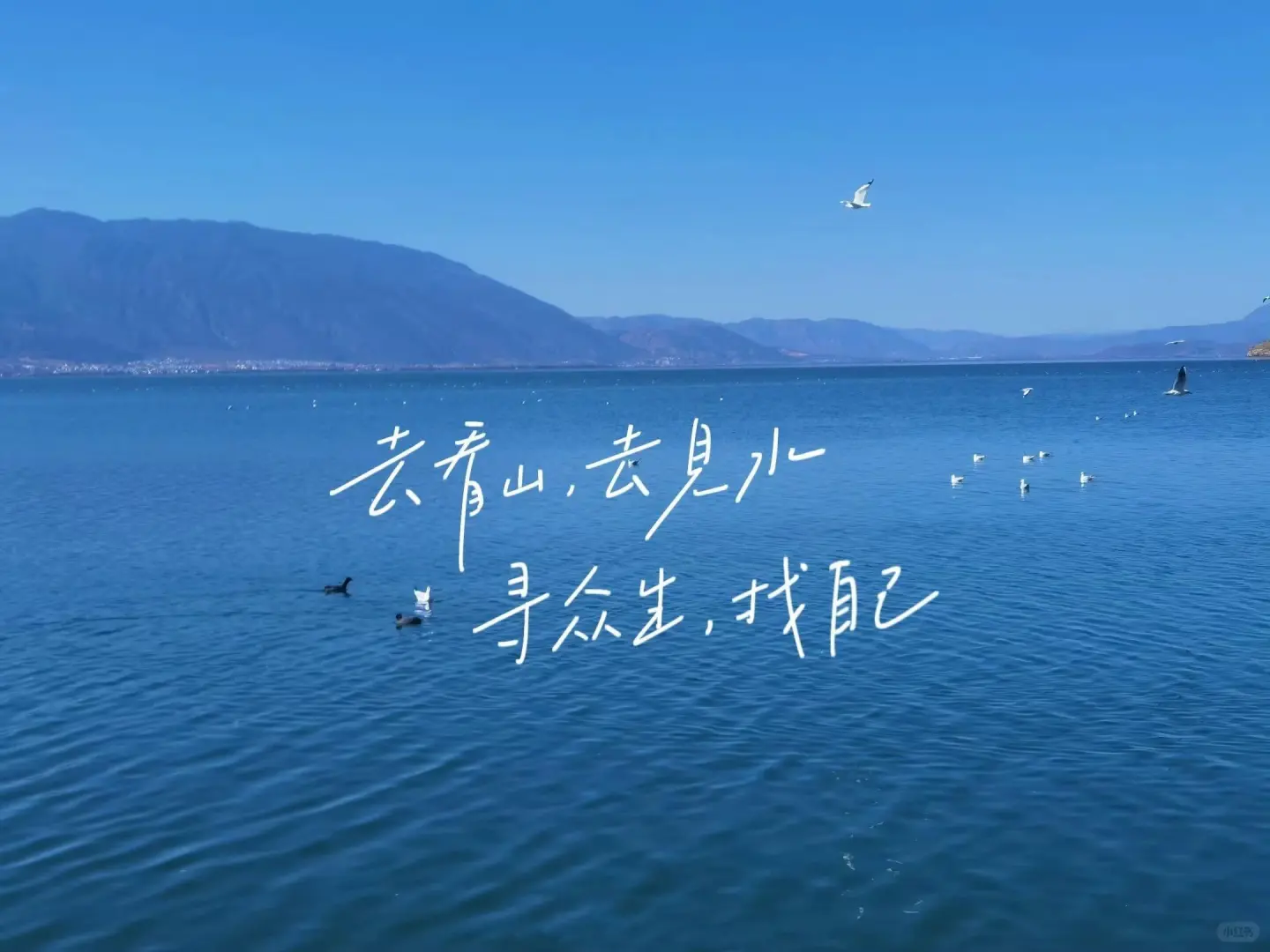 ipad文字壁纸来啦