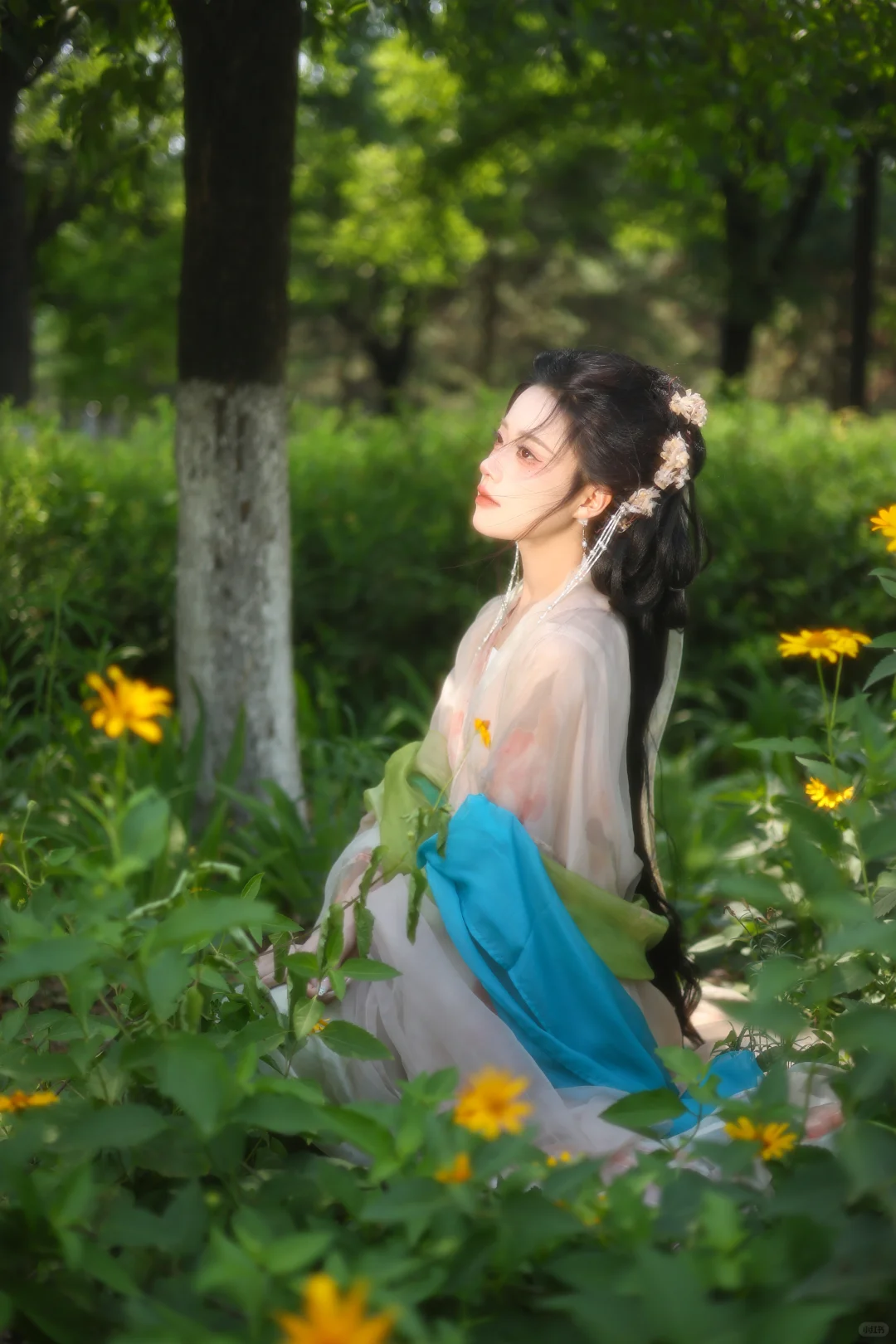 她的眉眼，如夏花的烂漫