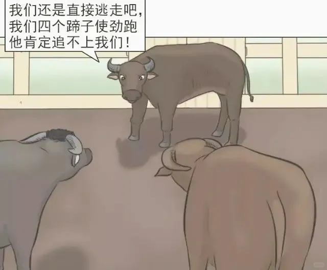 搞笑图片