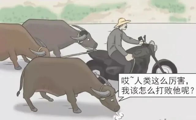 搞笑图片