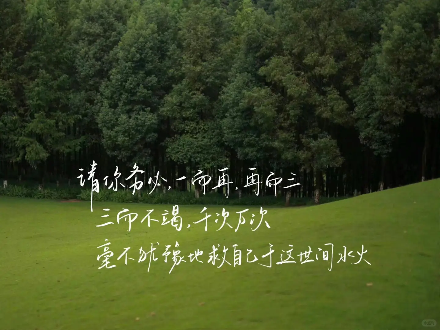 ipad文字壁纸来啦