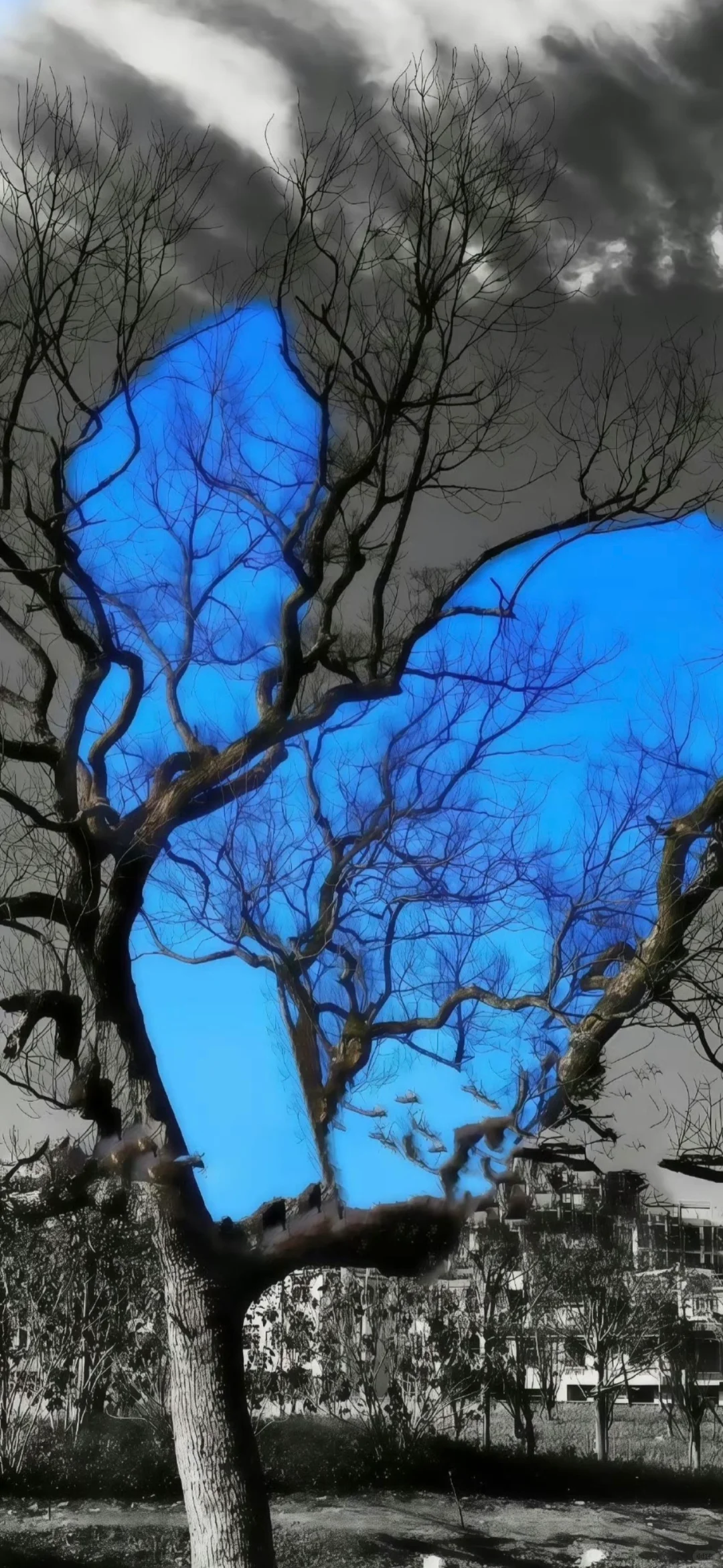 Blue｜蓝调时刻壁纸🫐