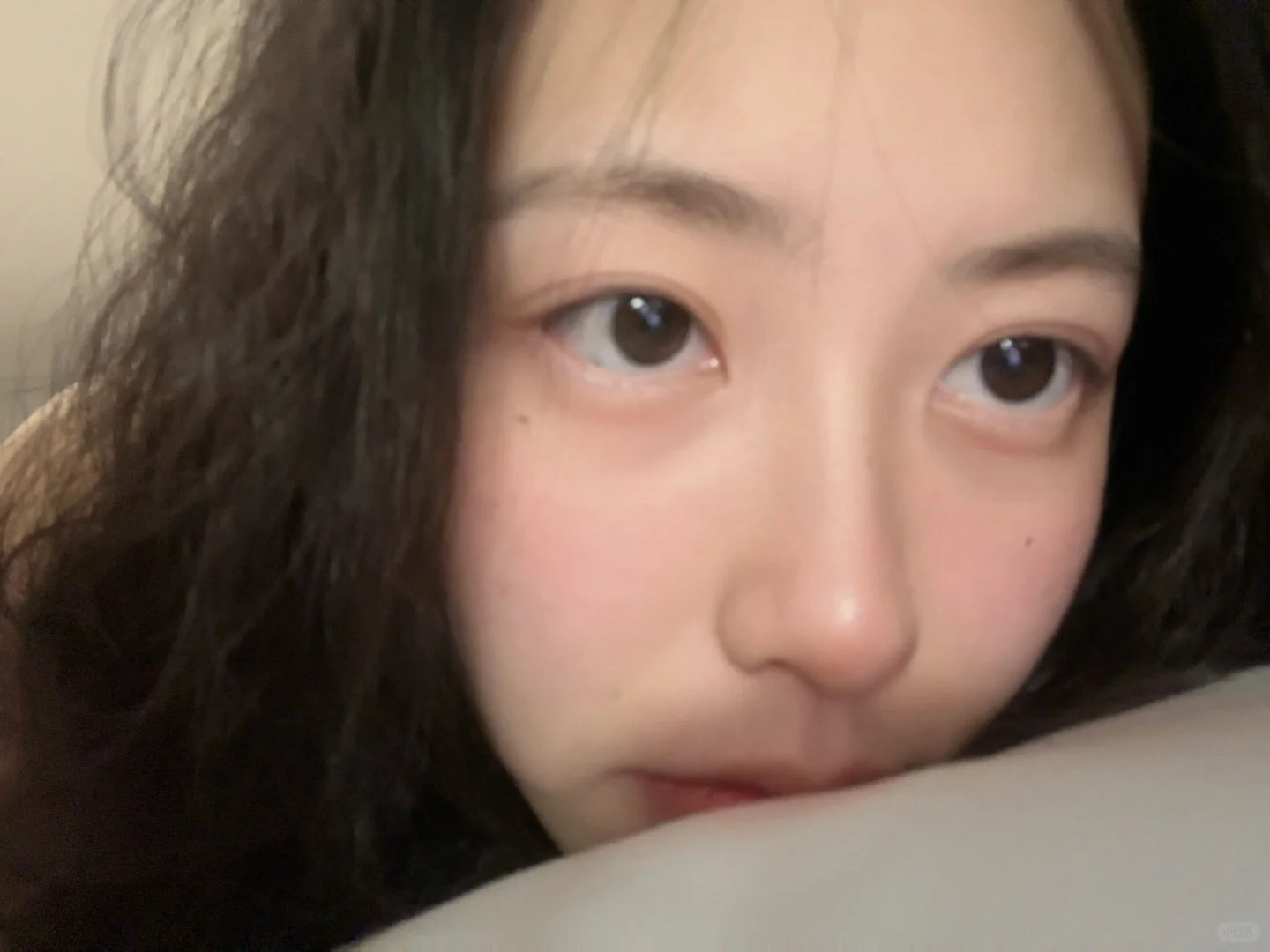 原来你不是木讷的树