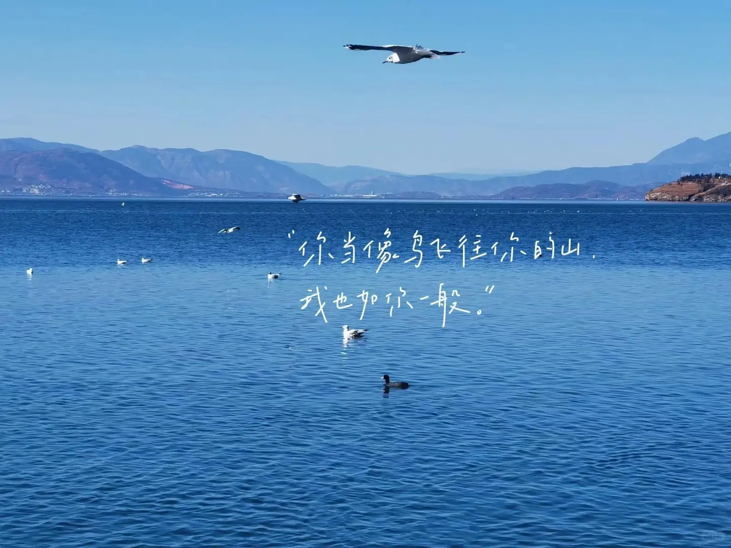 ipad文字壁纸来啦