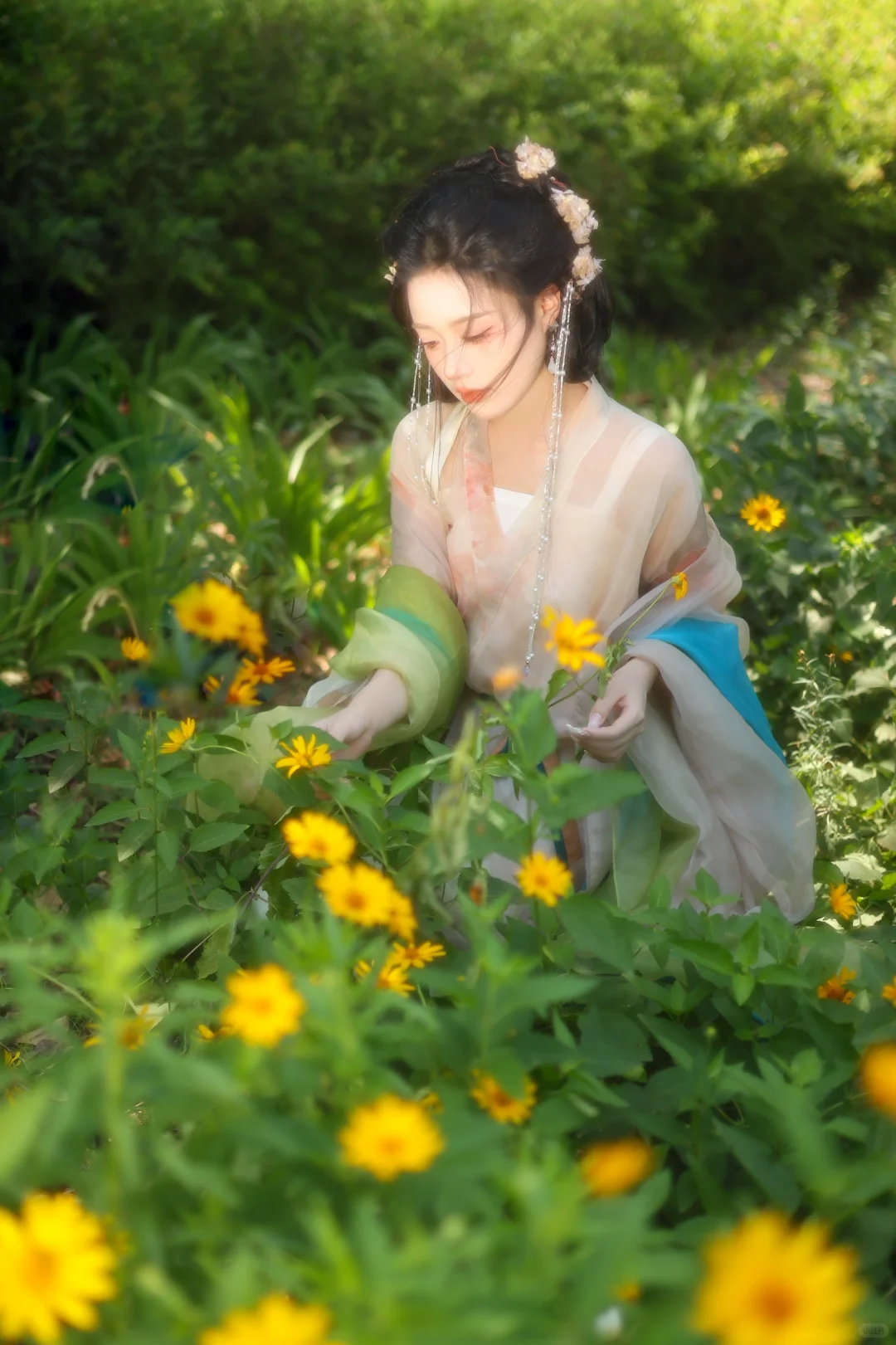 她的眉眼，如夏花的烂漫