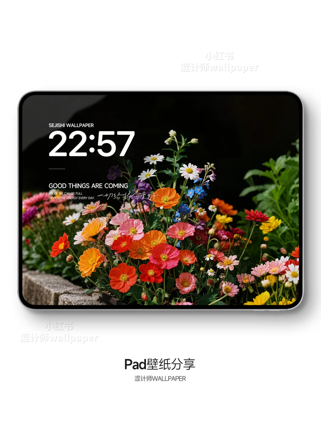 超治愈的花花世界 平板壁纸｜A102