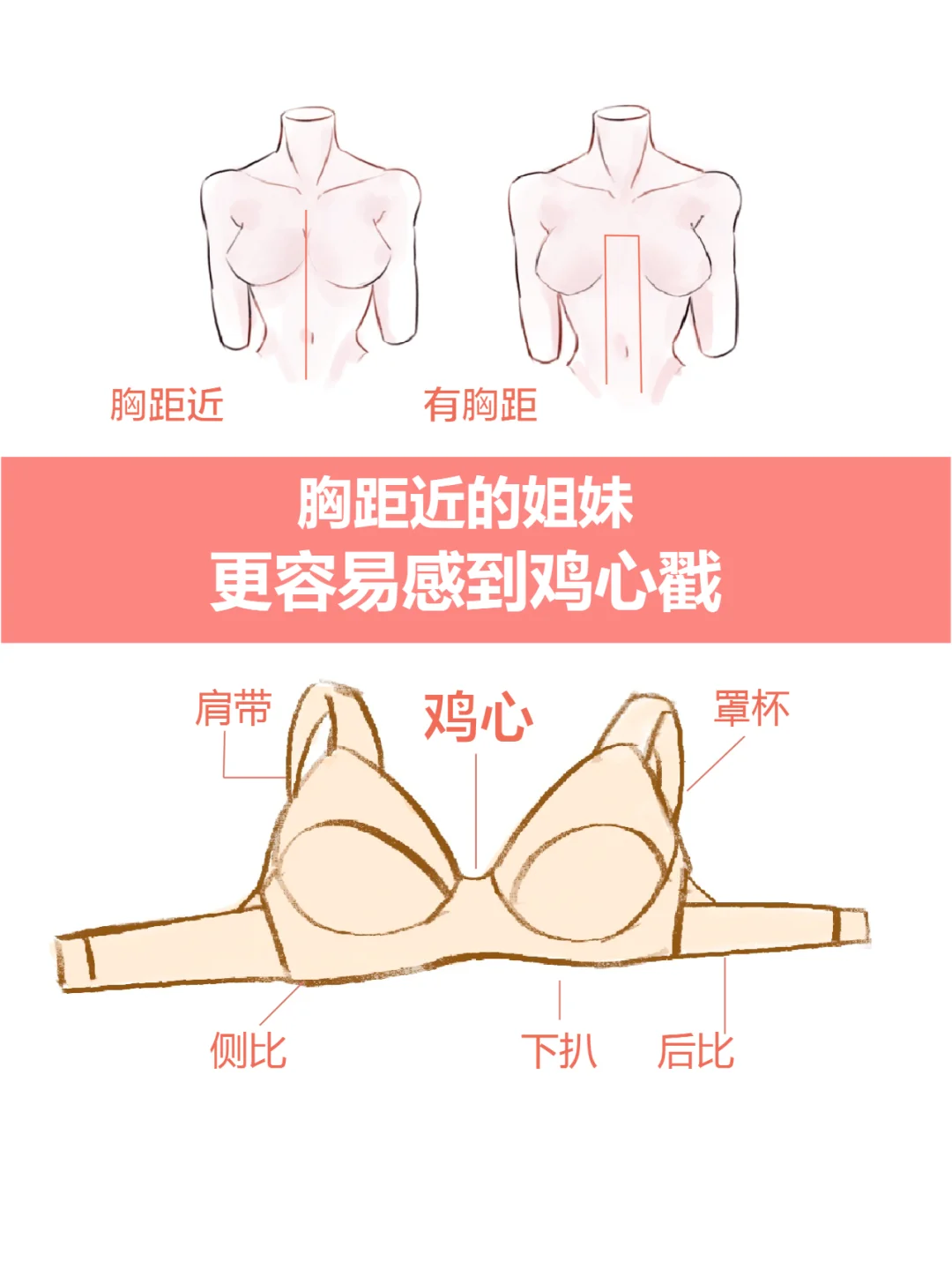 大胸姐妹必看小知识！