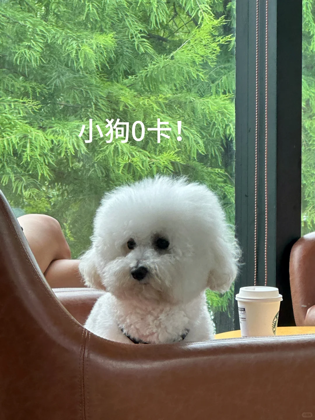 新人减肥博主Day1|我准备笨拙的开始了🔁