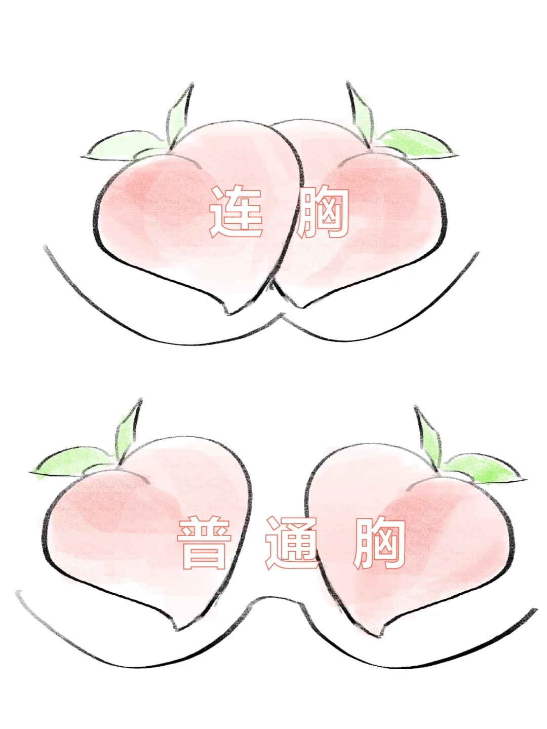 大胸姐妹必看小知识！