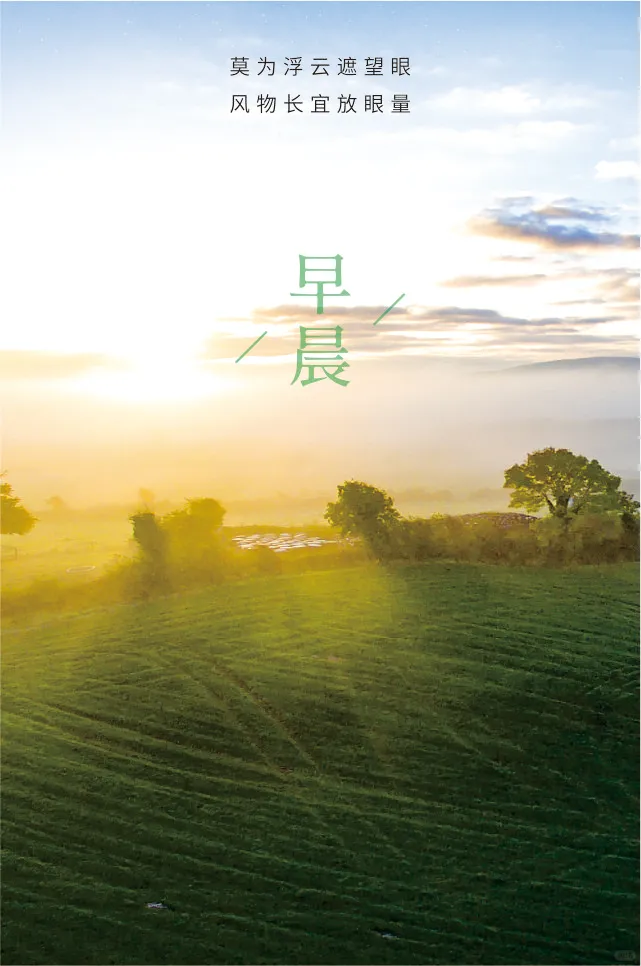 早安日签|你也可以发光
