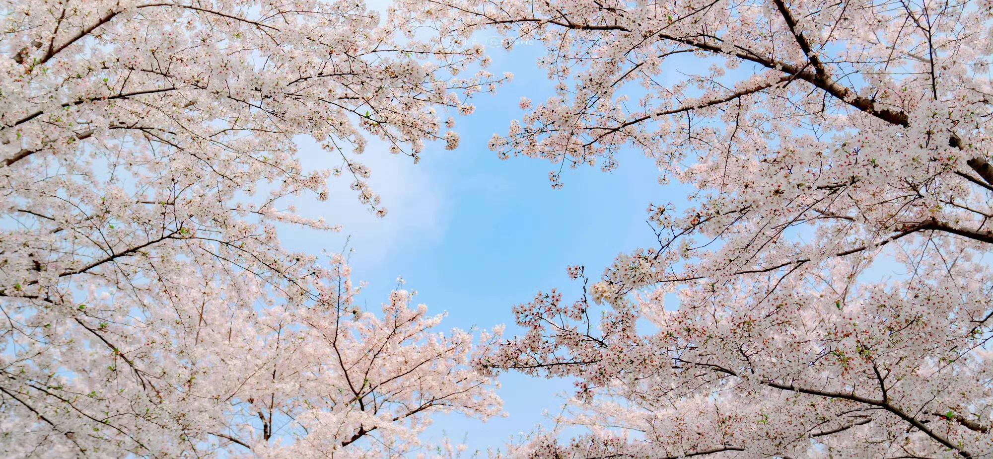 电脑❤️平板❤️壁纸