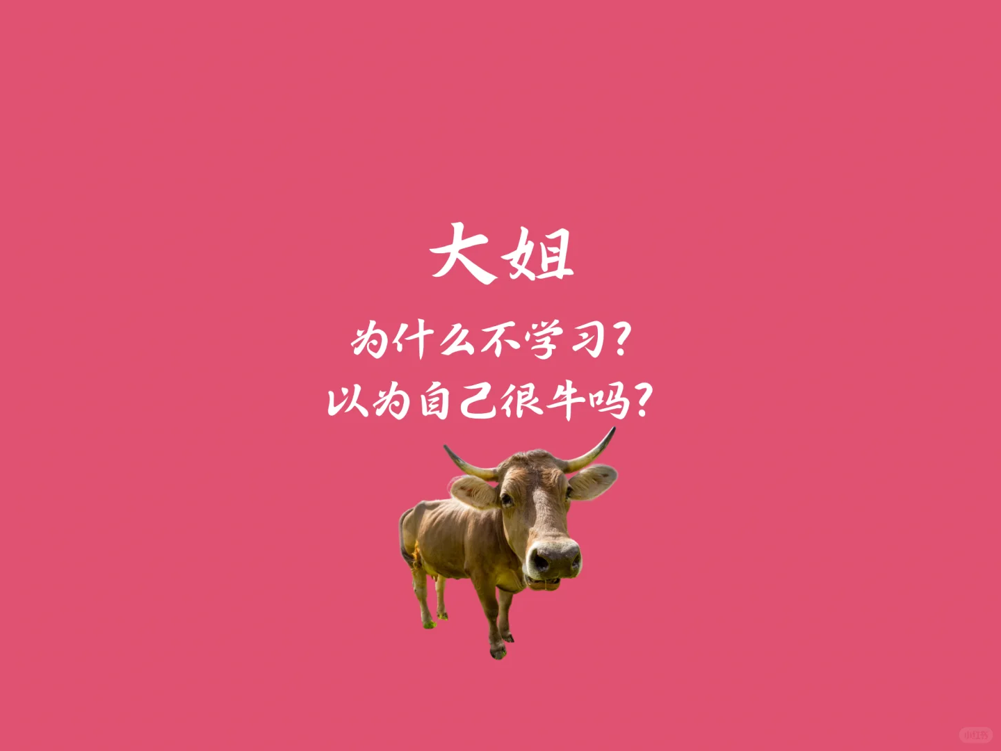 ipad版-刻薄学习自律壁纸