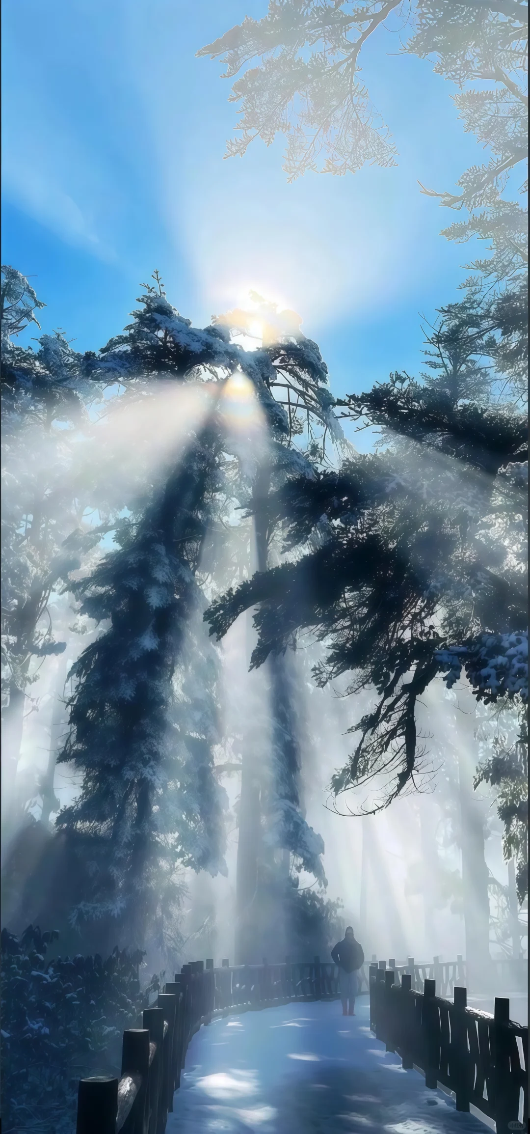 share壁纸🎨｜丁达尔效应✨