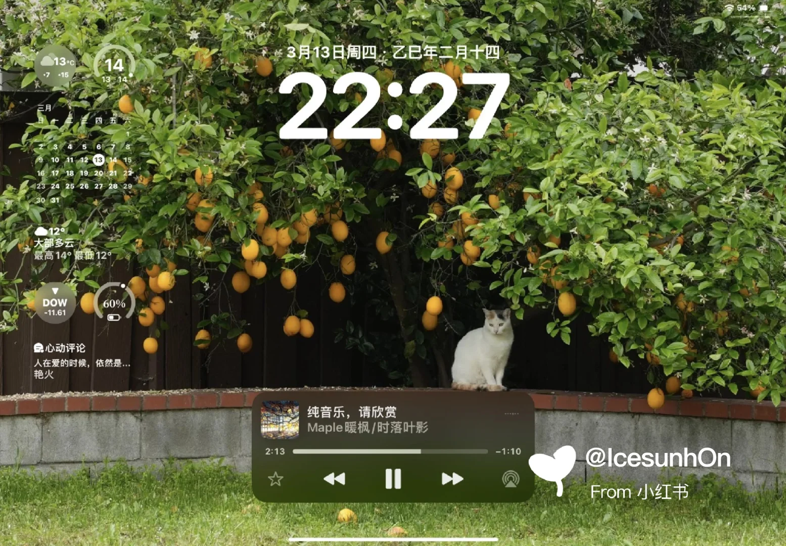 iPad高清壁纸|绝美氛围感