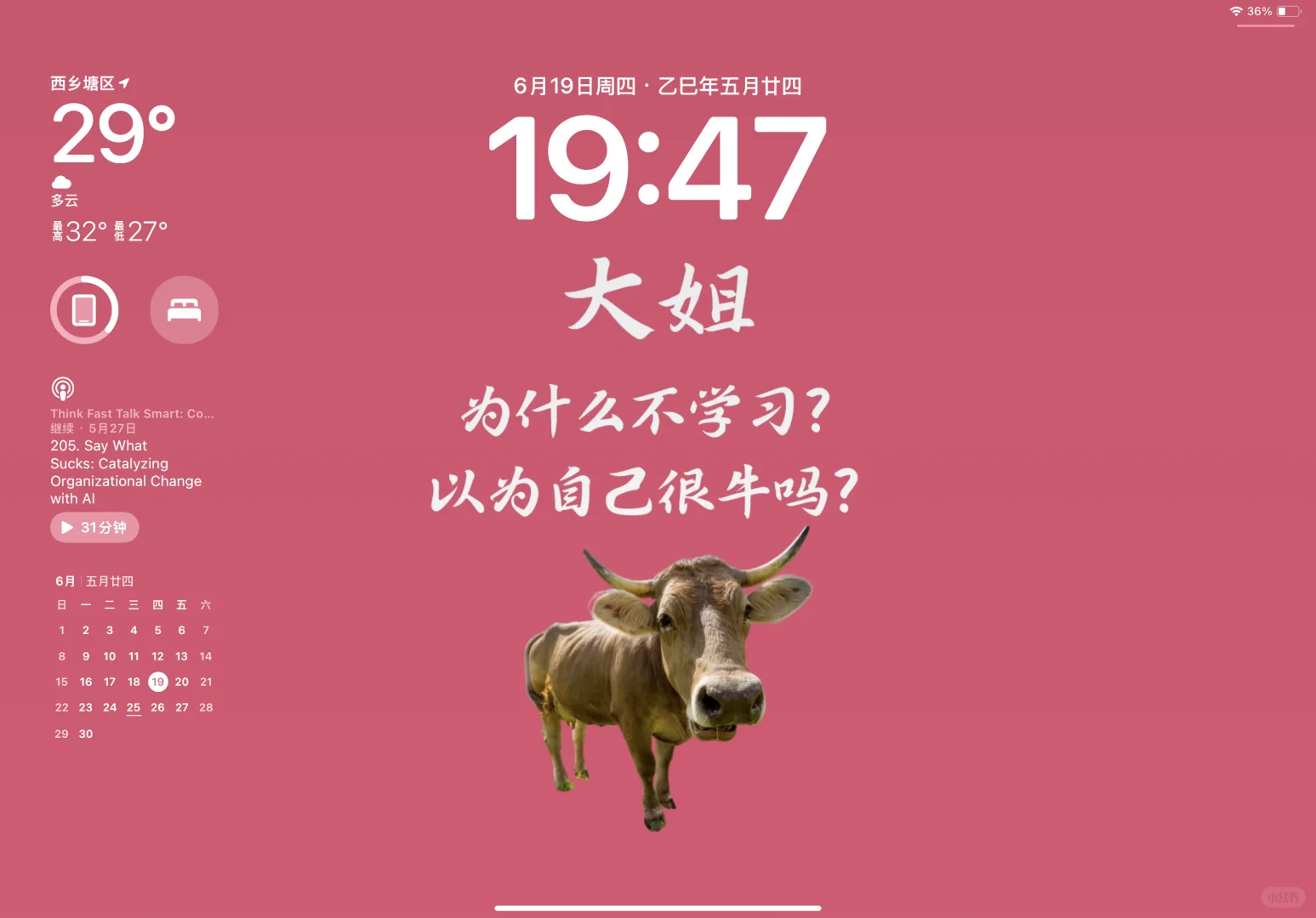 ipad版-刻薄学习自律壁纸