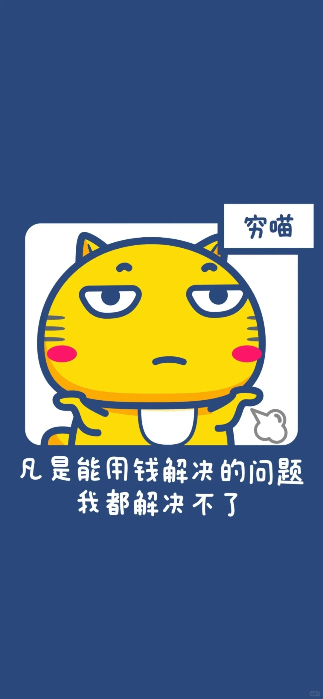 总有一个适合你