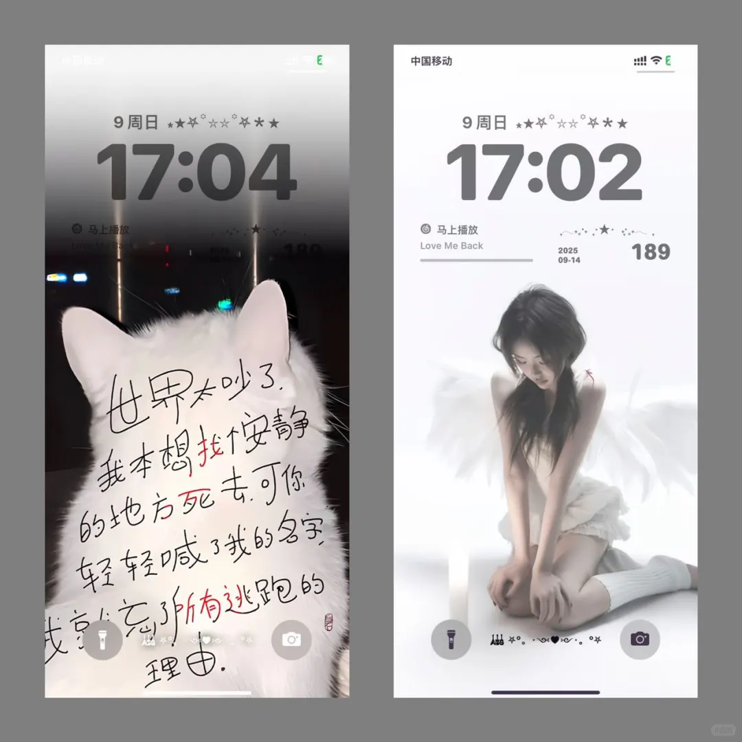 私藏级小众壁纸🍃
