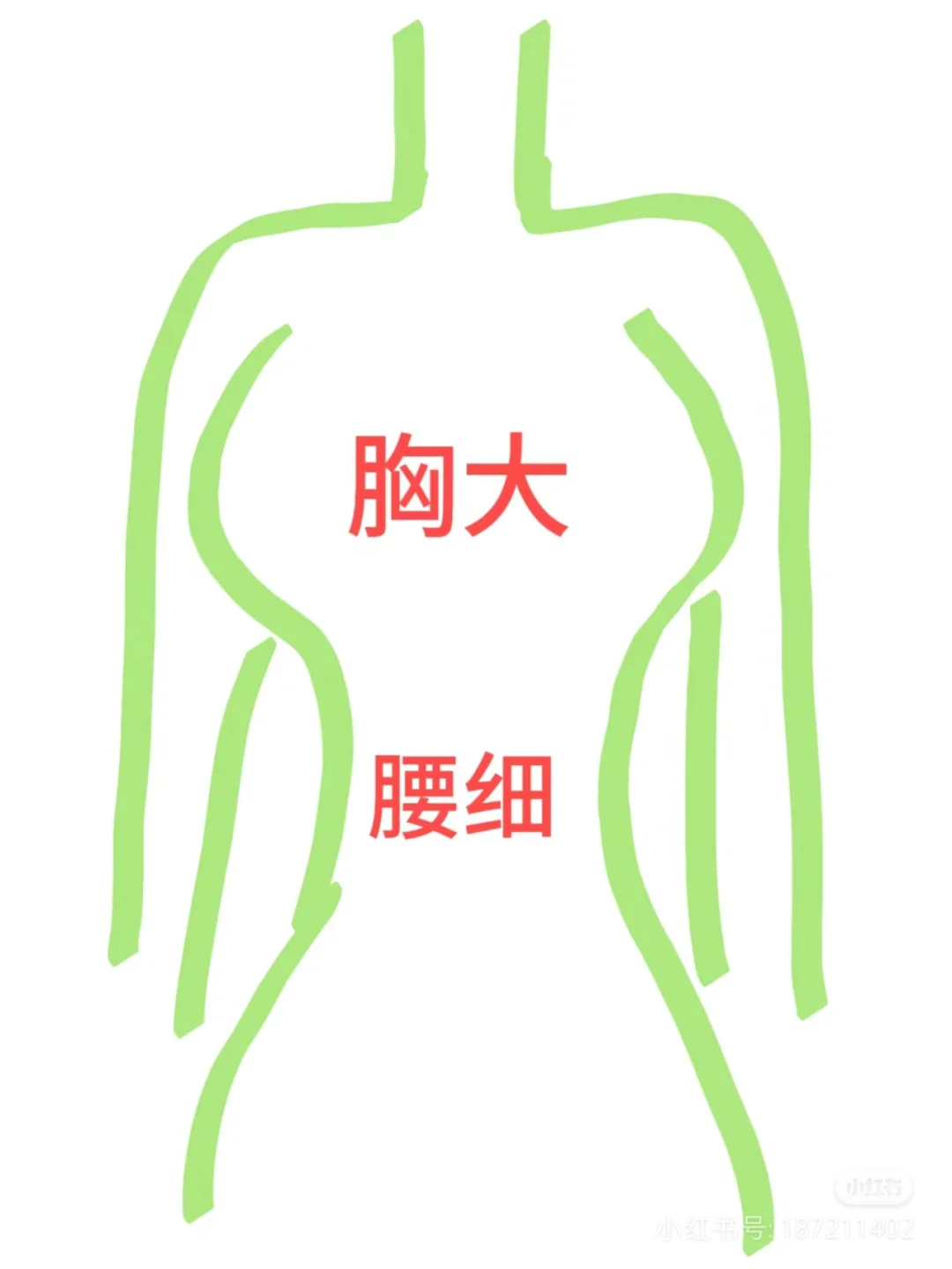 到底是谁说瘦了胸会小？