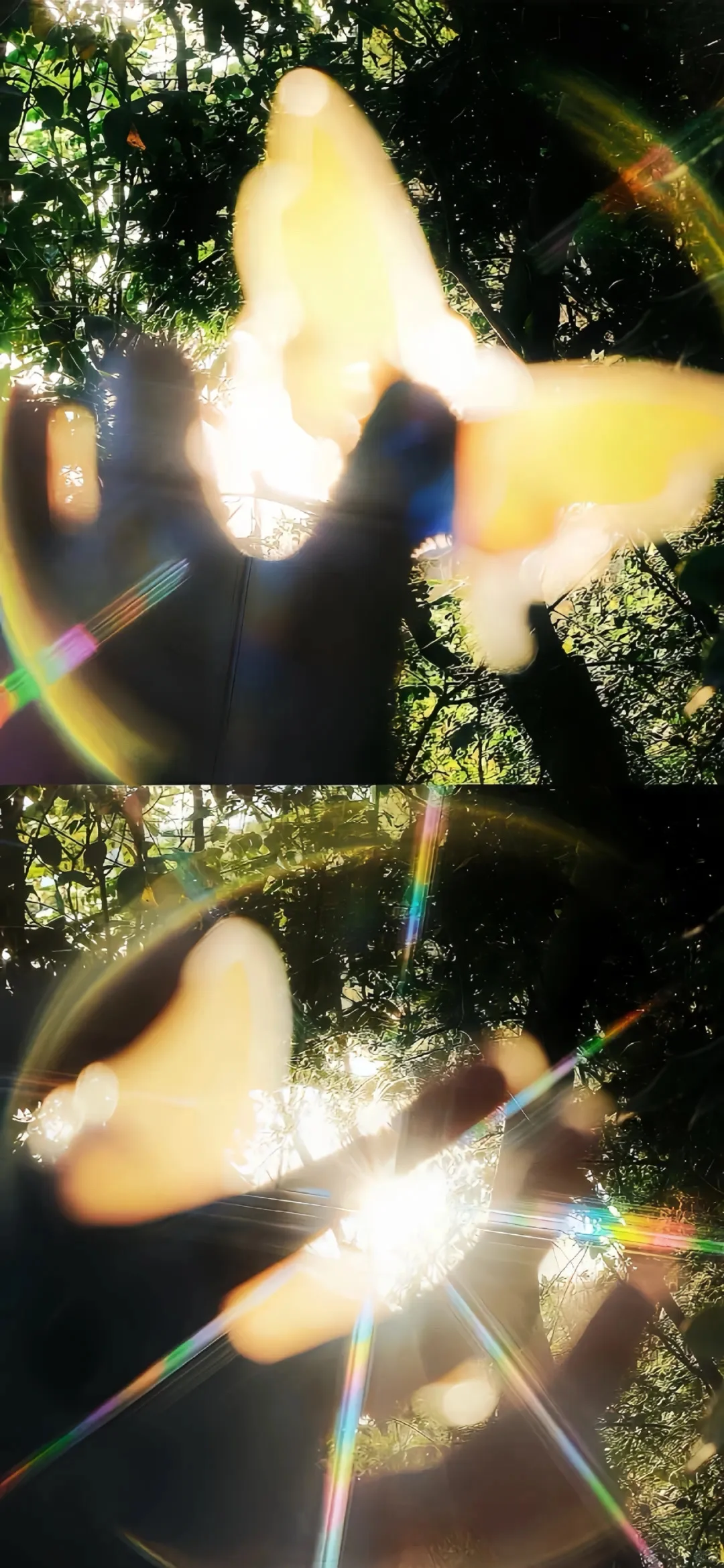 🎆烟花壁纸
