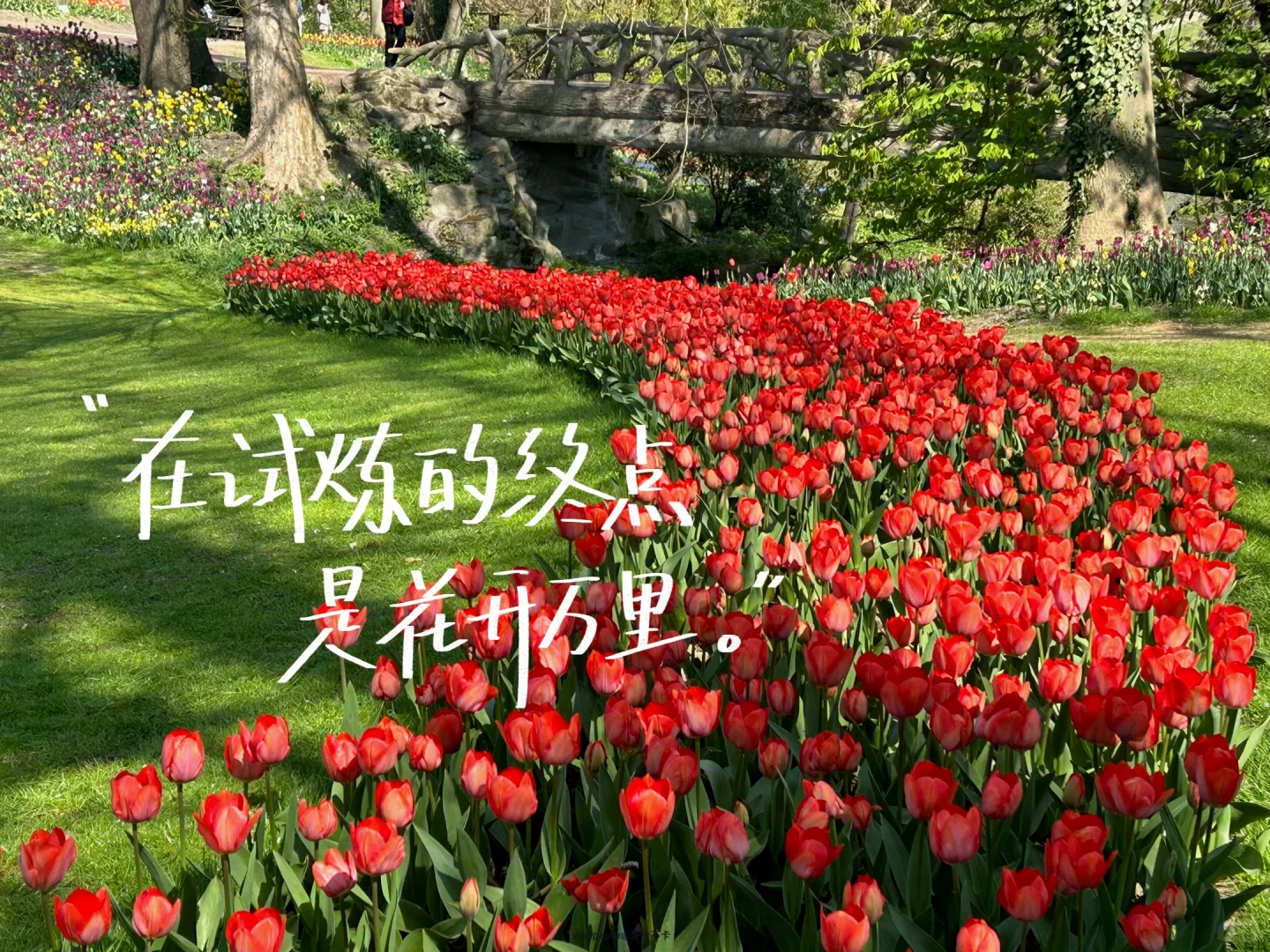 手写✍️04.12｜ipad壁纸/背景图