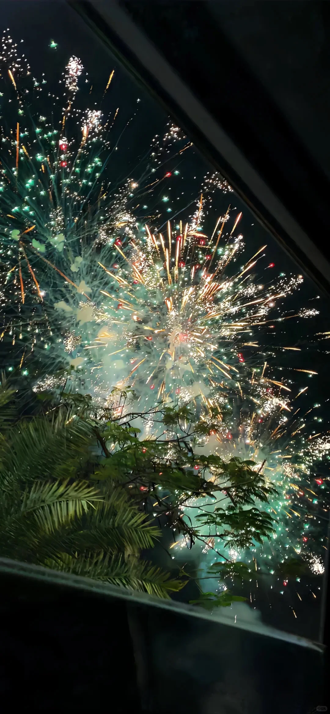 🎆烟花壁纸