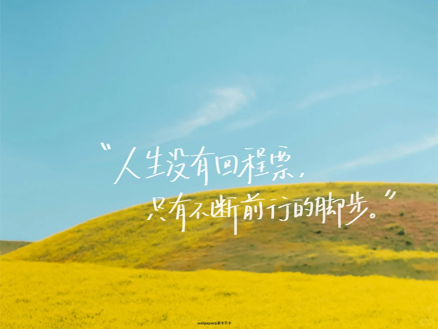 手写✍️04.12｜ipad壁纸/背景图