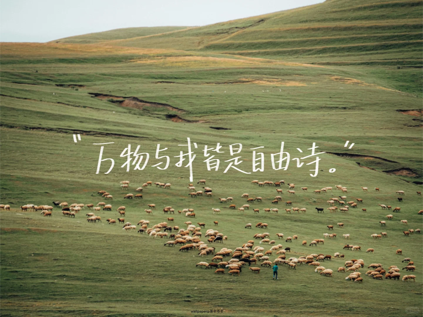 手写✍️04.12｜ipad壁纸/背景图