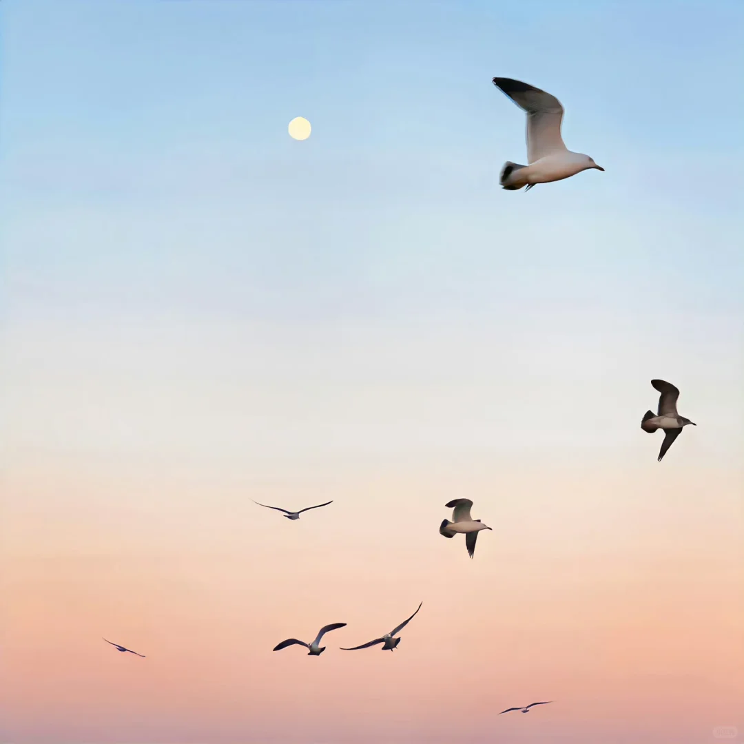 share｜一期 简约 干净背景图