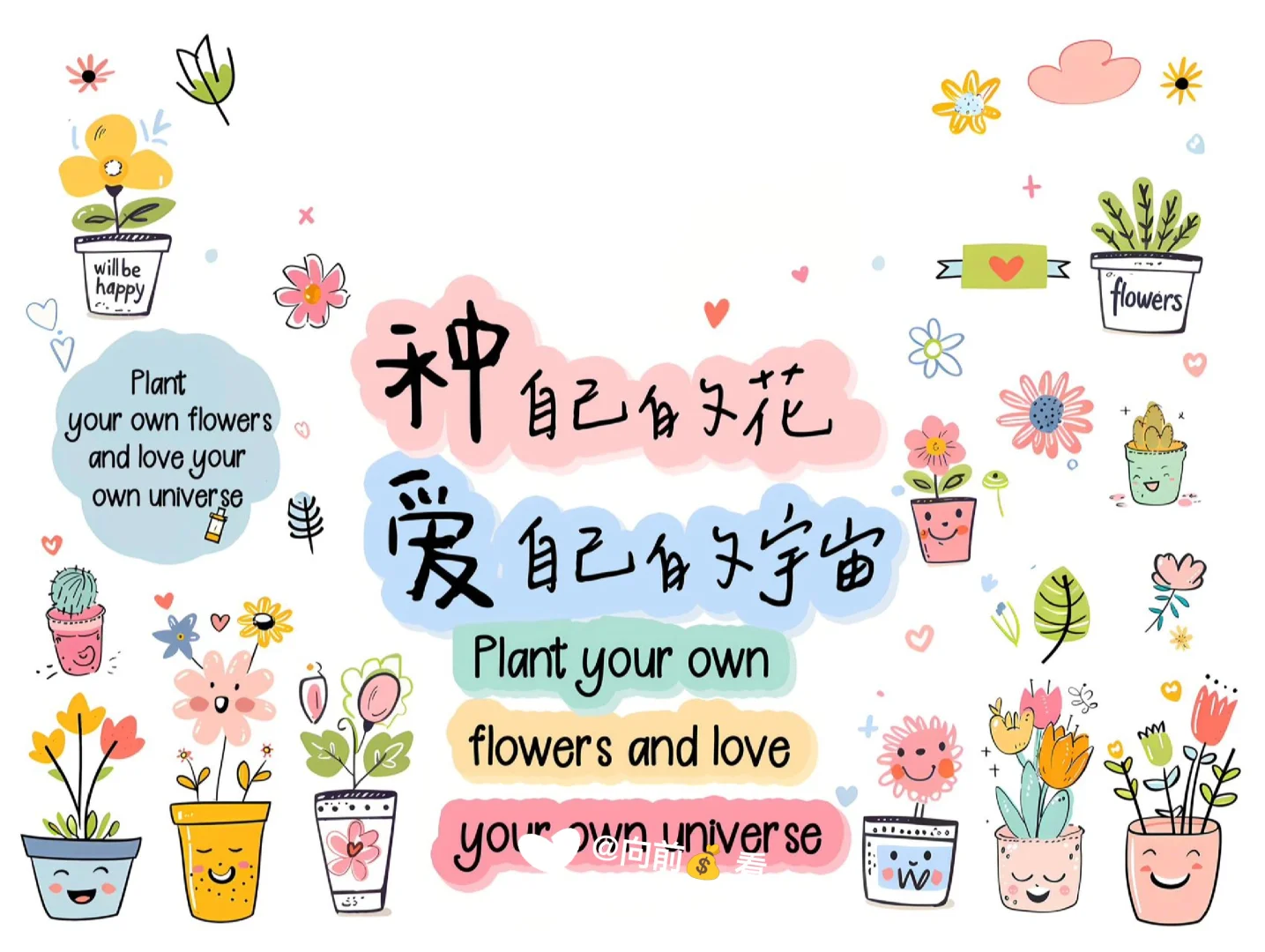 种自己的花｜iPad正念壁纸