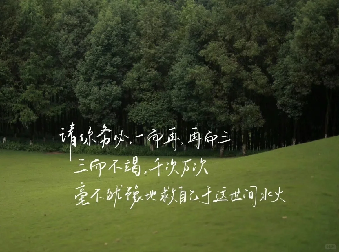 你要热烈而又自在地活着。