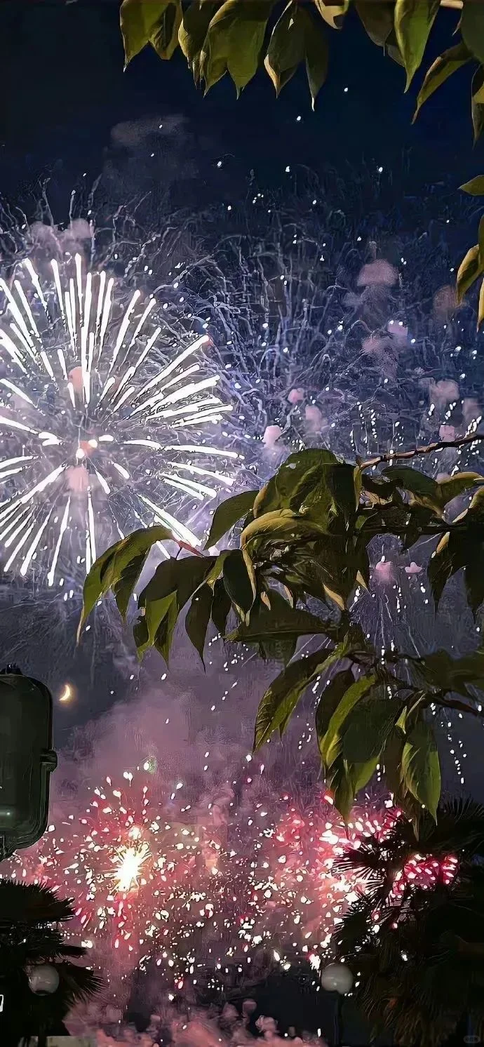 🎆烟花壁纸