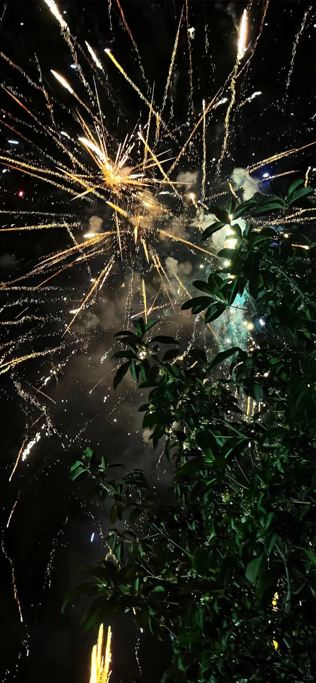🎆烟花壁纸