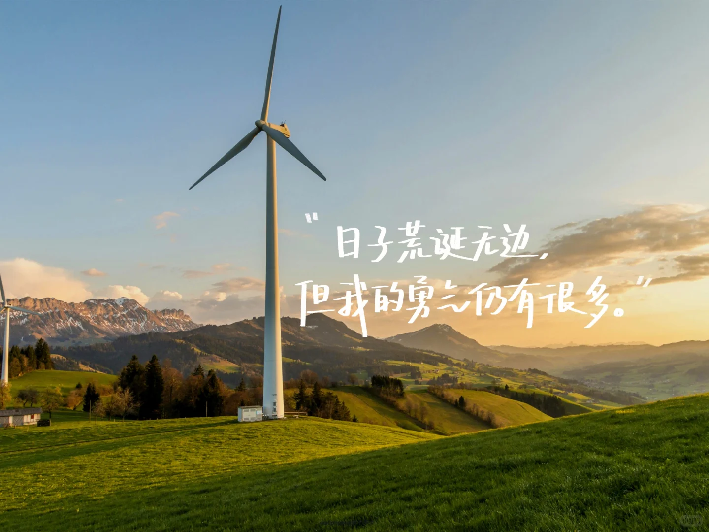 手写✍️04.12｜ipad壁纸/背景图