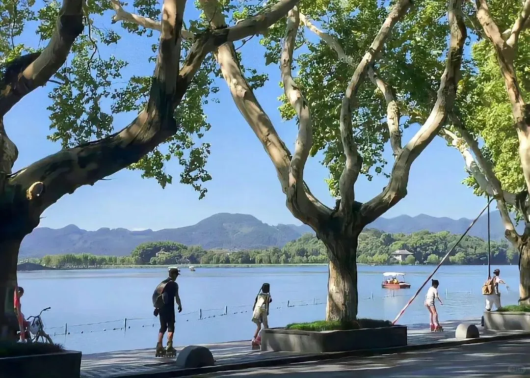 壁纸分享‖pad&电脑夏日系列