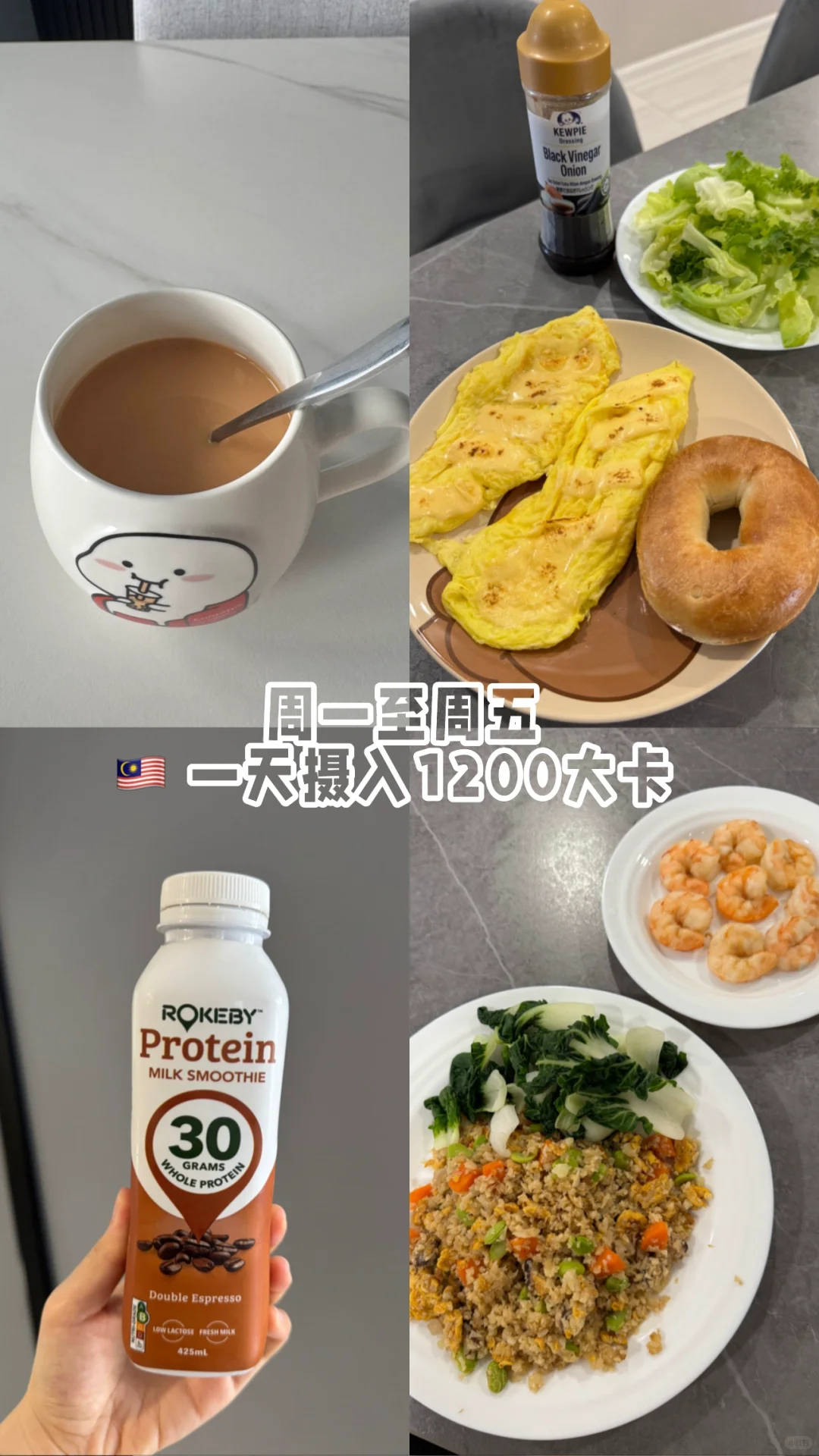🇲🇾 一天摄入1200大卡 高蛋白饮食