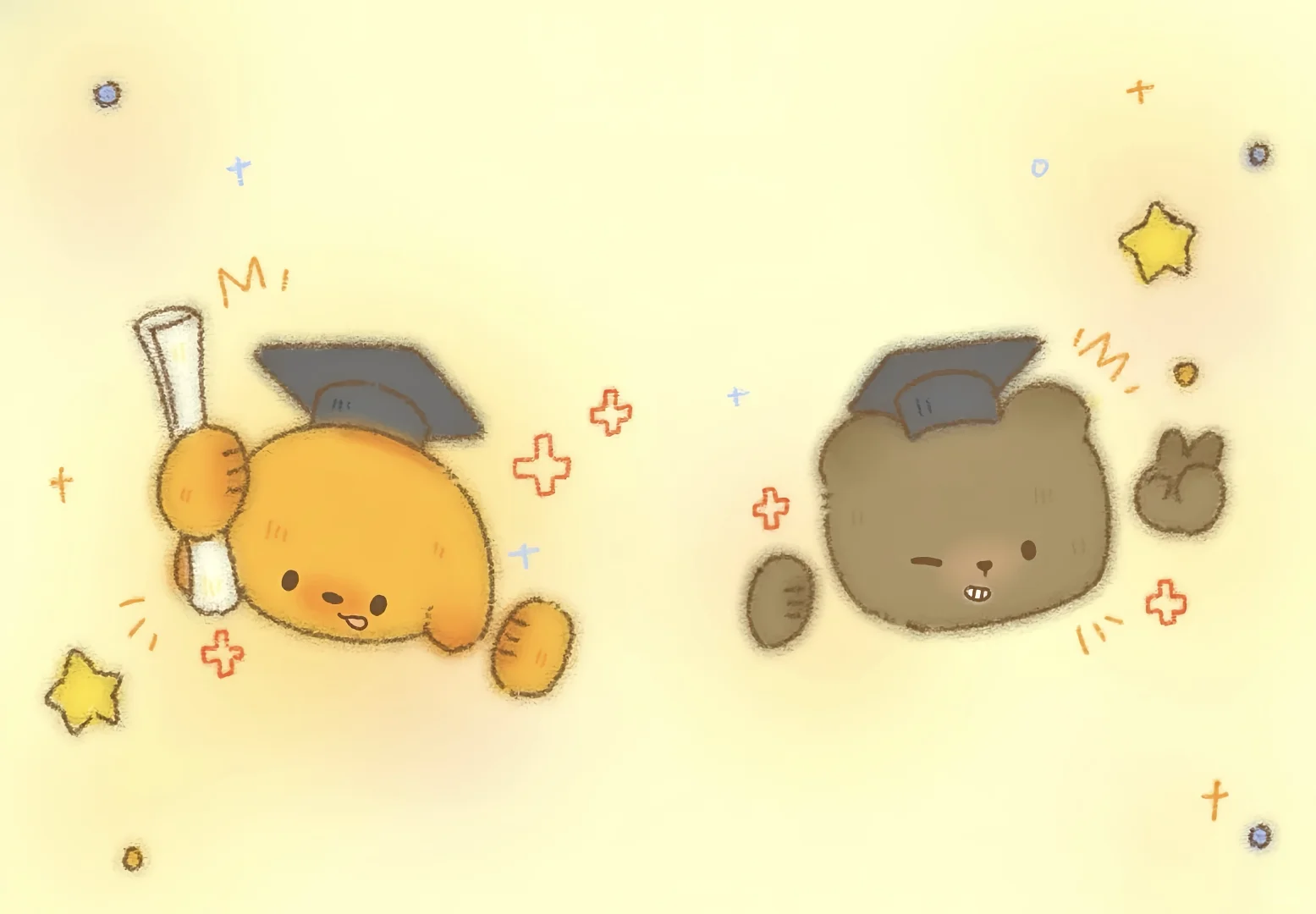 壁纸｜iPad壁纸✨