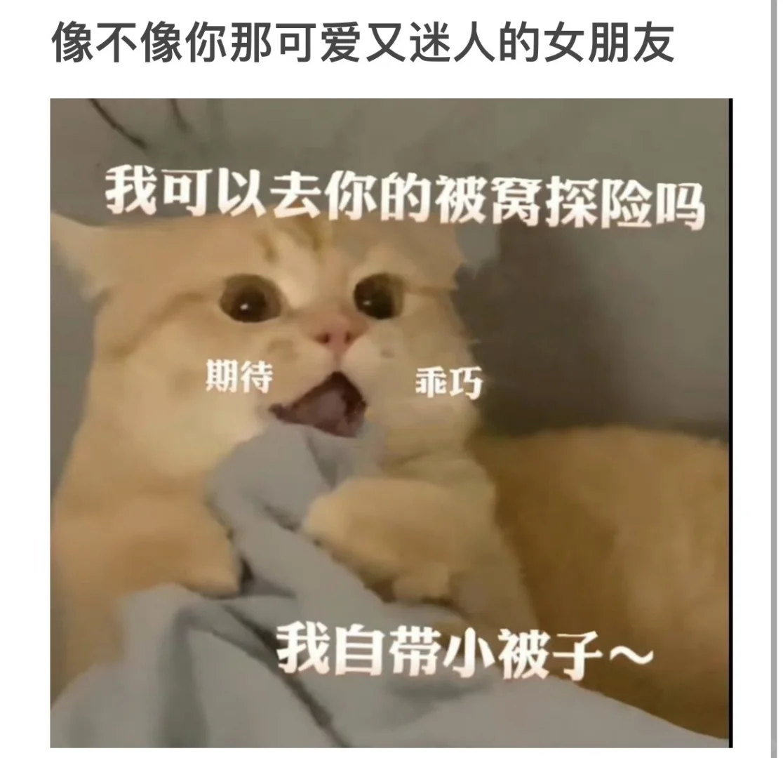 像不像你那可爱又迷人的女朋友呢！