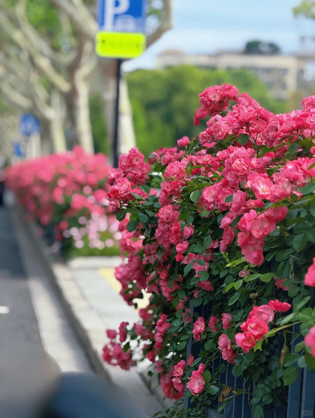 今日燃脂1114千卡