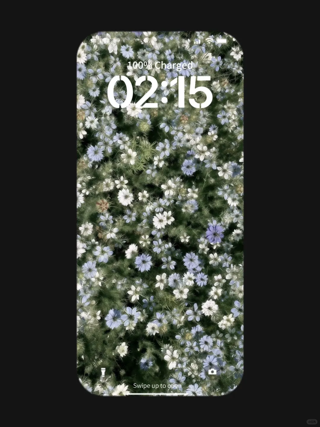 ❻❹❸期  治愈系壁纸 |  小众壁纸 | ins风壁