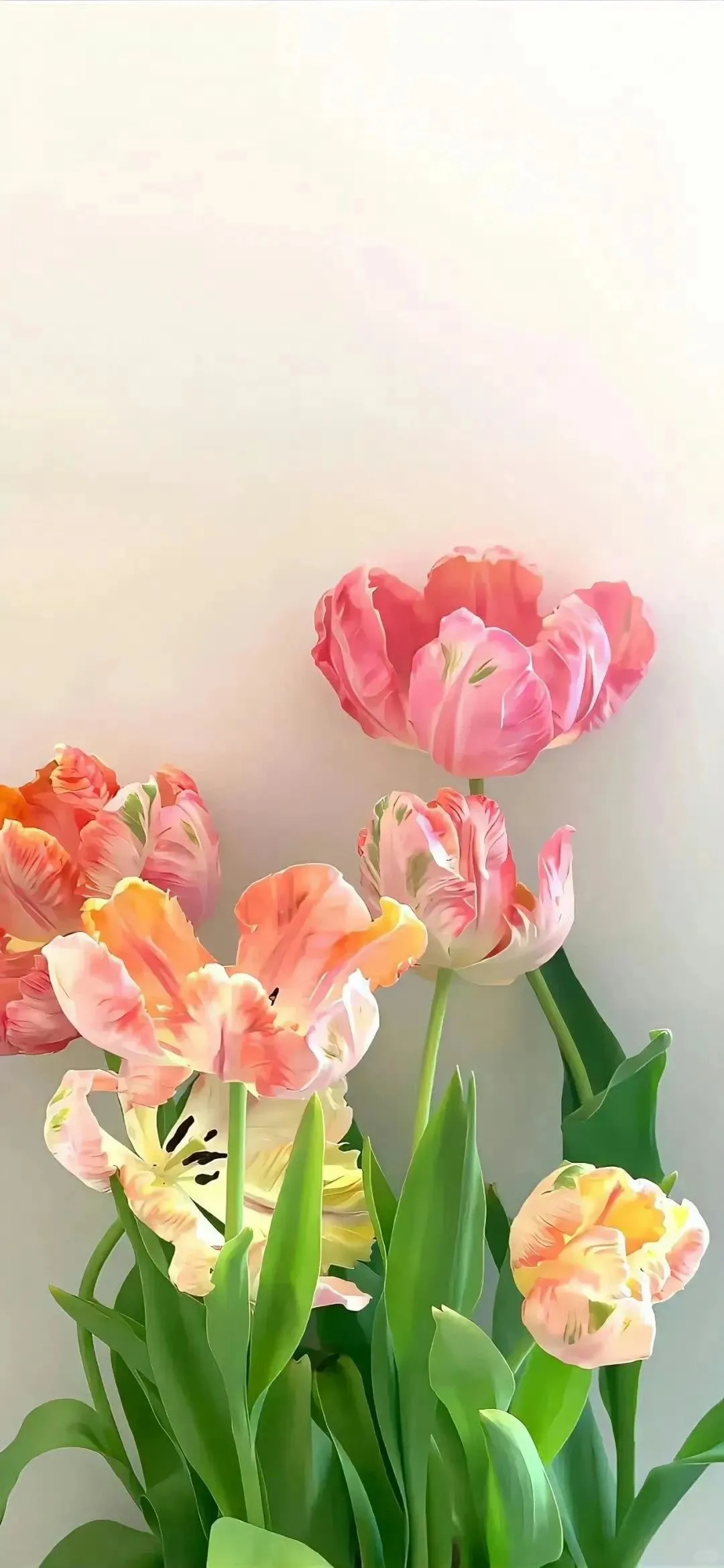 wallpaper｜今日花花全屏壁纸🌸