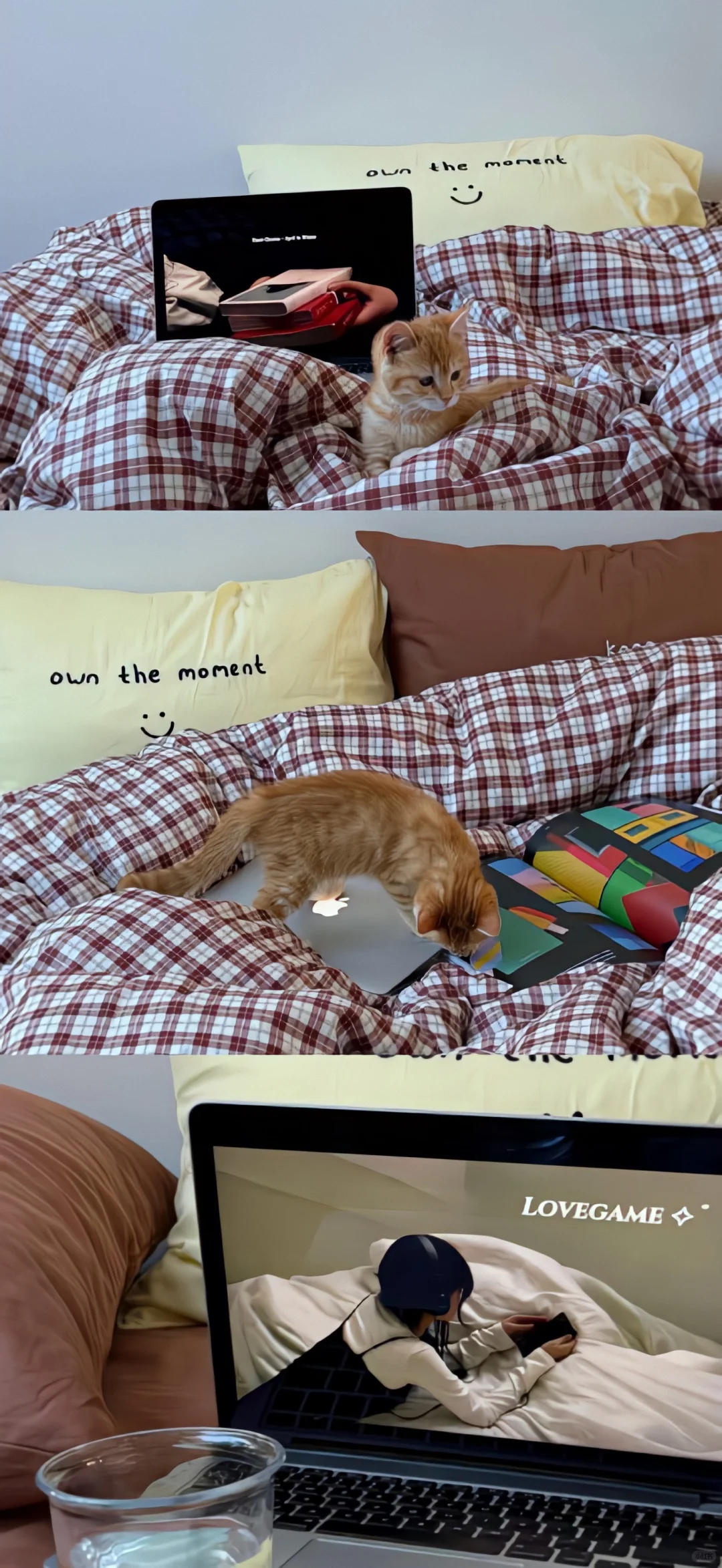 ins小众壁纸🐈